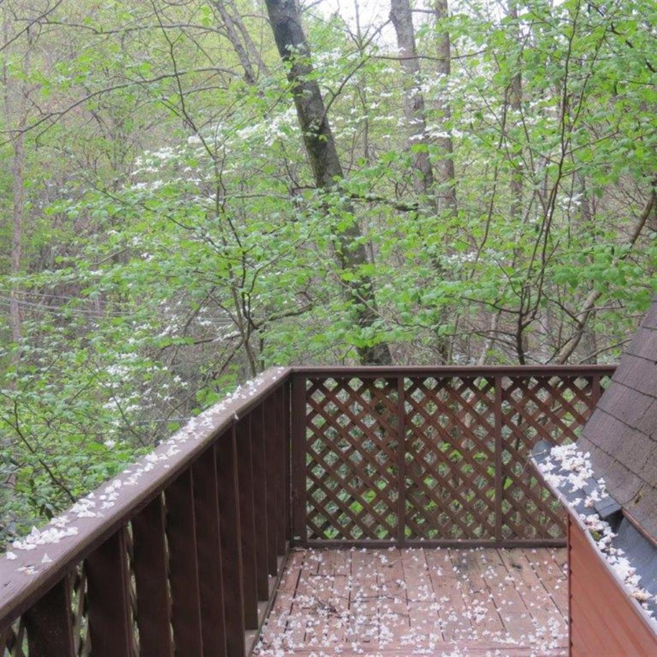 개틀린버그 Buckberry Creek Chalet 빌라 외부 사진